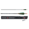 Skylon Frontier 6.2 Arrows