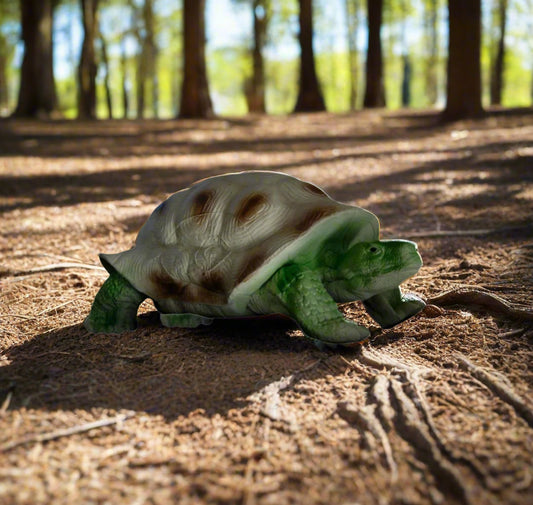 Eleven Target 3D Turtle - IFAA Group 2,3