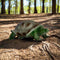 Eleven Target 3D Turtle - IFAA Group 2,3