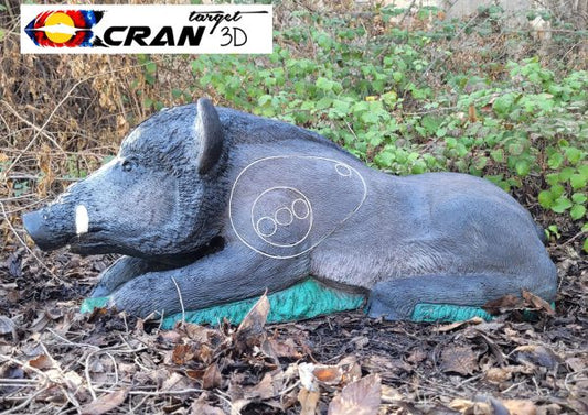 Lying Wild Boar