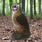 SRT 3D TARGET OWL - GROUP 3 - L35cm H73cm