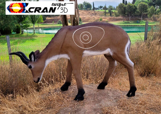 African Deer