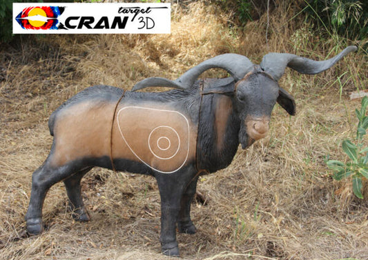 Balearic Boc