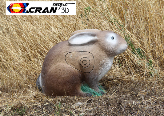 Droopy-Eared Rabbit