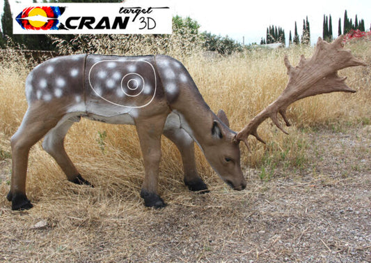 Fallow Deer