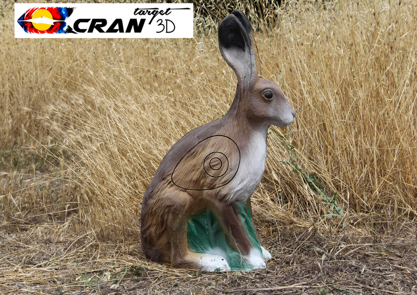 Hare