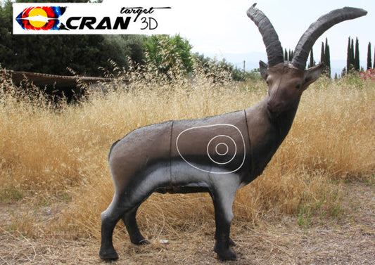 Mountain Goat