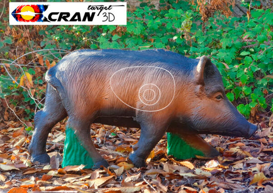 Reddish Wild Boar