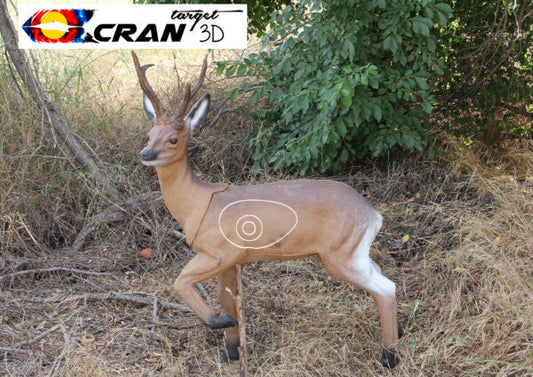 Roe Deer
