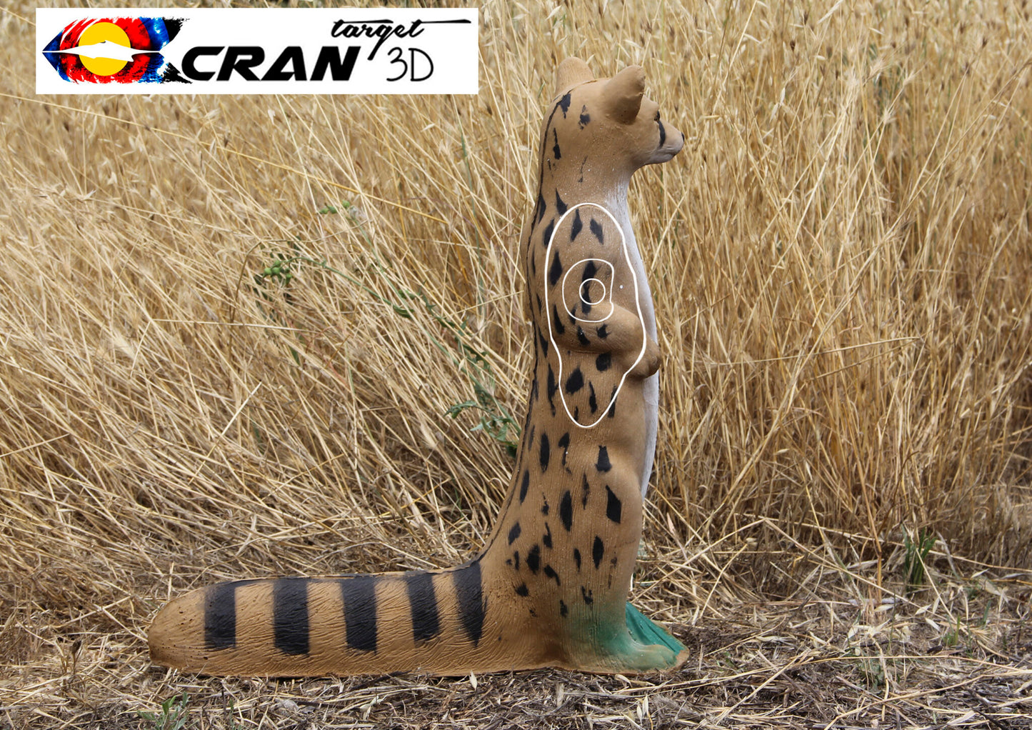 Sitting Genet