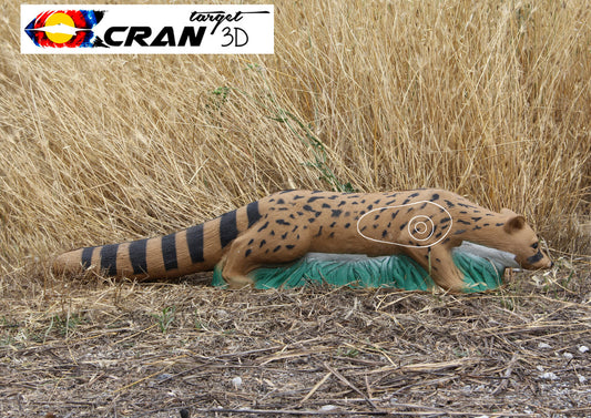 Stalking Genet