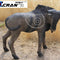 Wildebeest